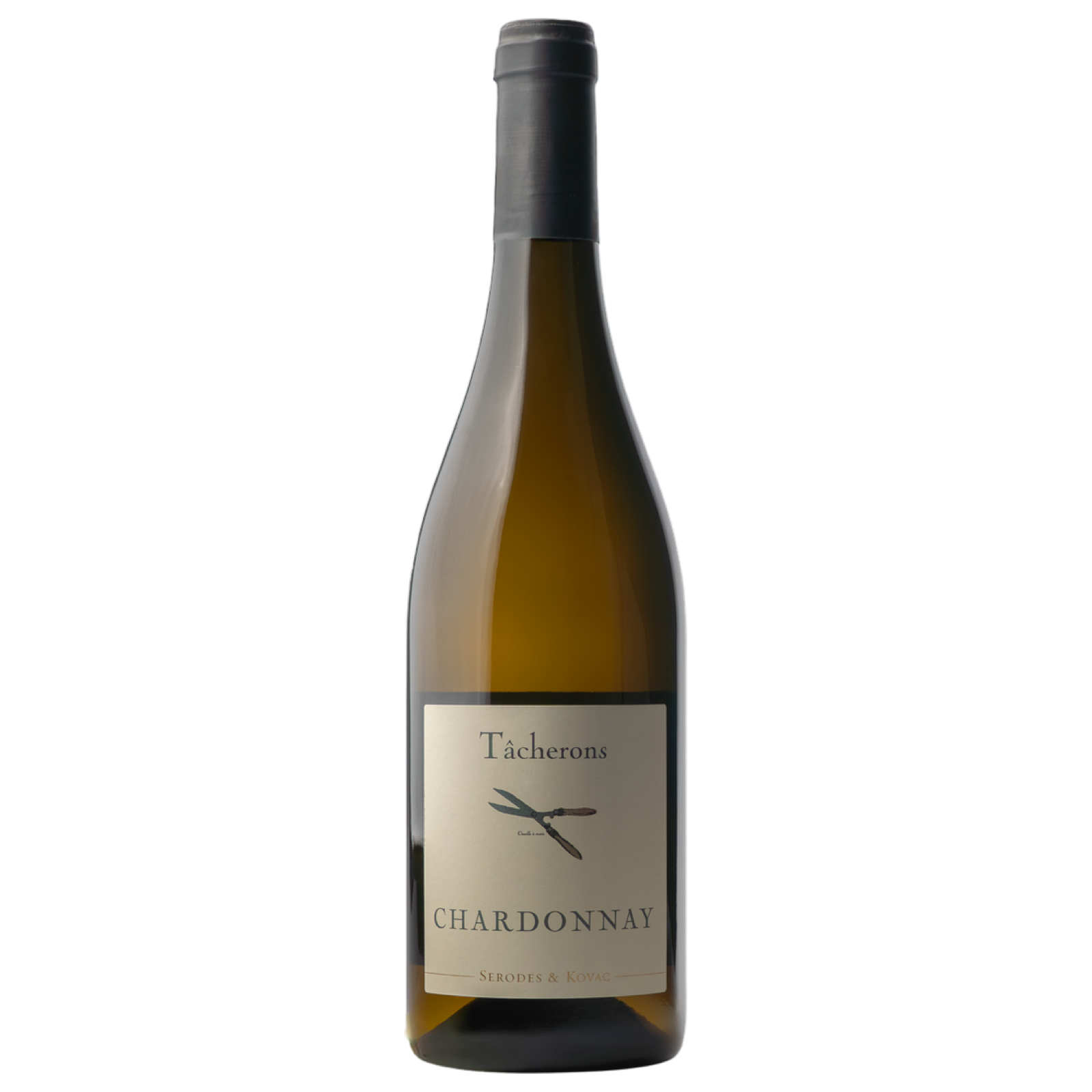 Tacherons Chardonnay 2024