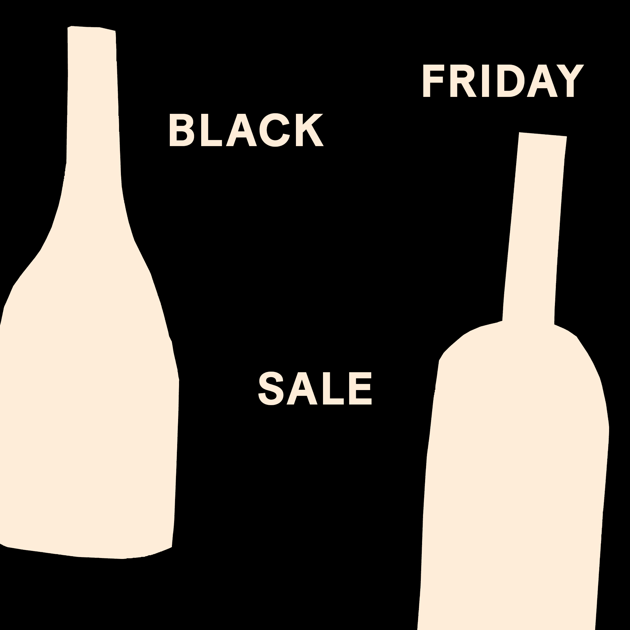 Black Friday Sale