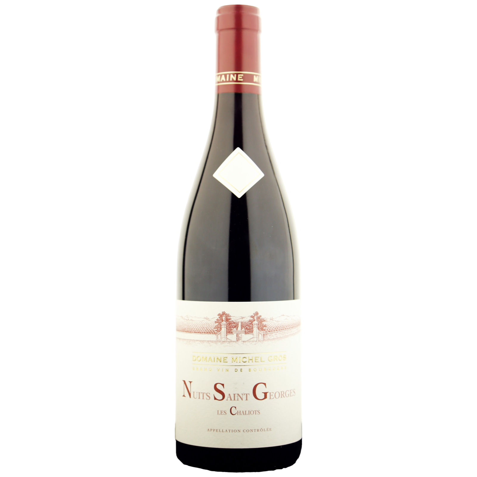 Domaine Michel Gros Nuits Saint Georges 'Les Chaliots' 2022