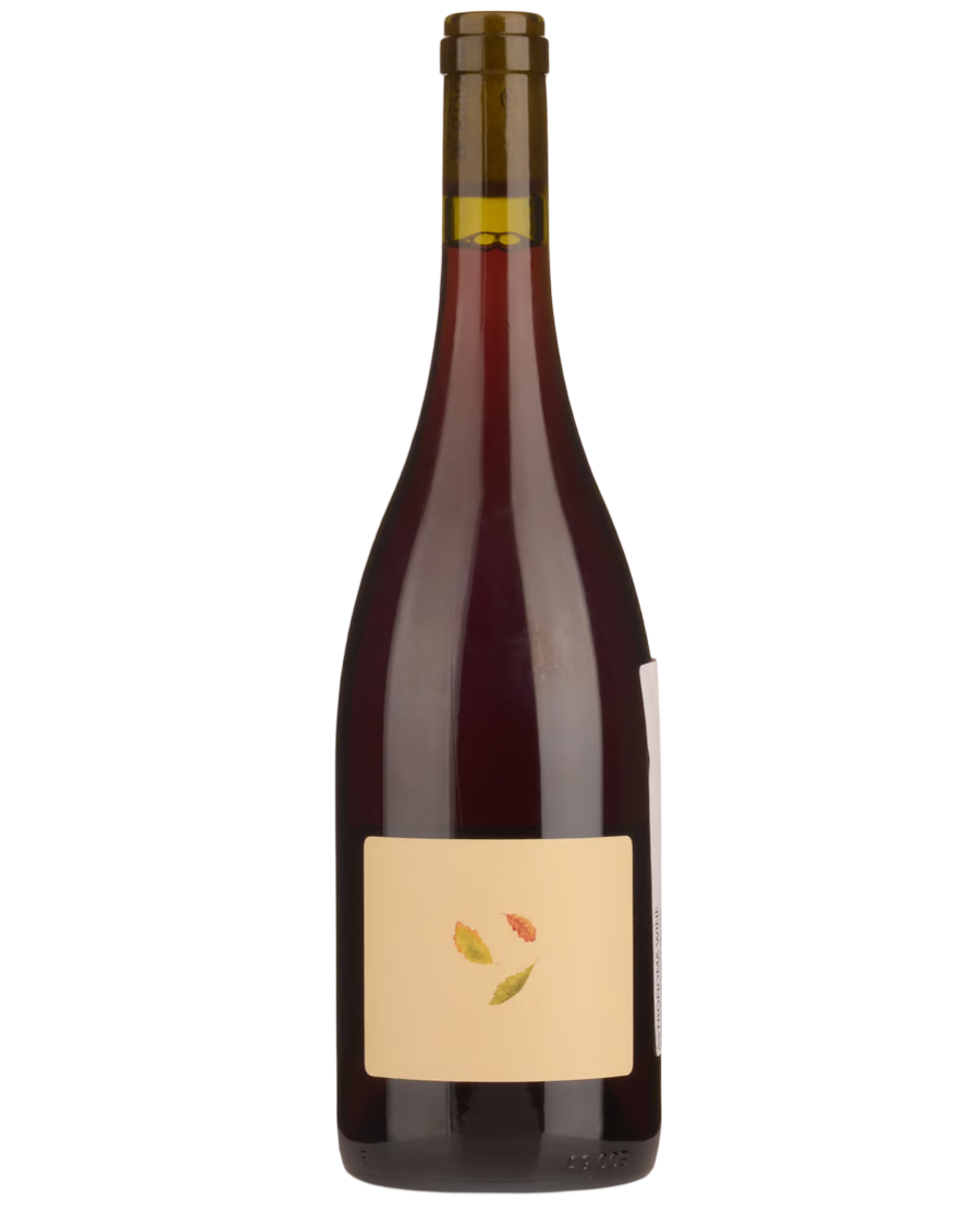 Willow & Goose Pinot Noir 2023