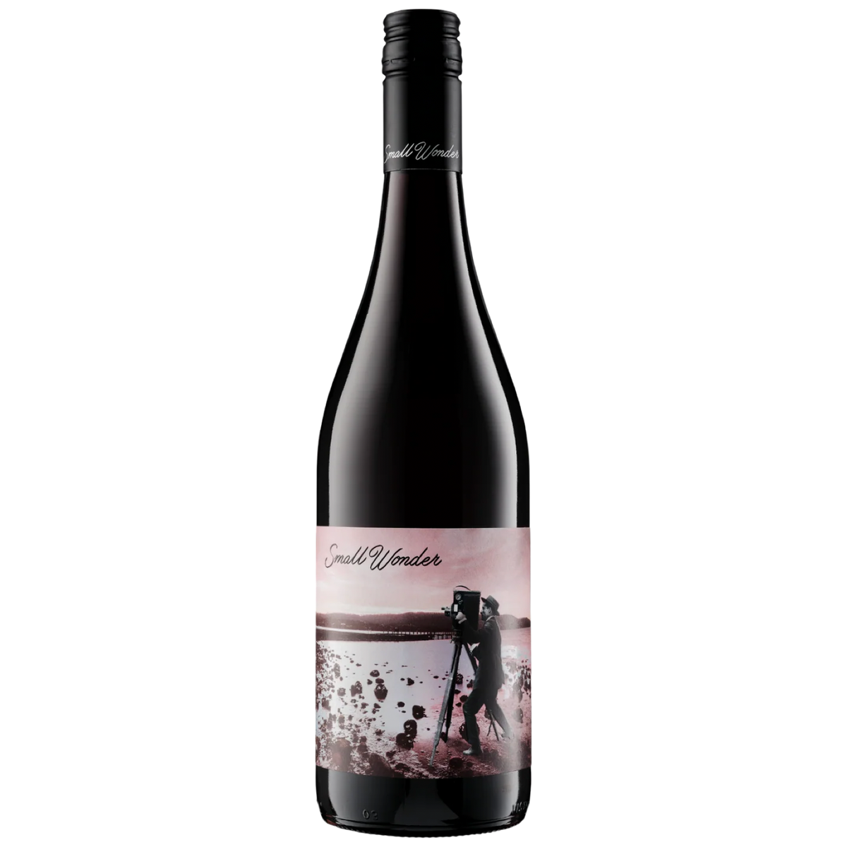 Small Wonder Landscape Pinot Noir 2024