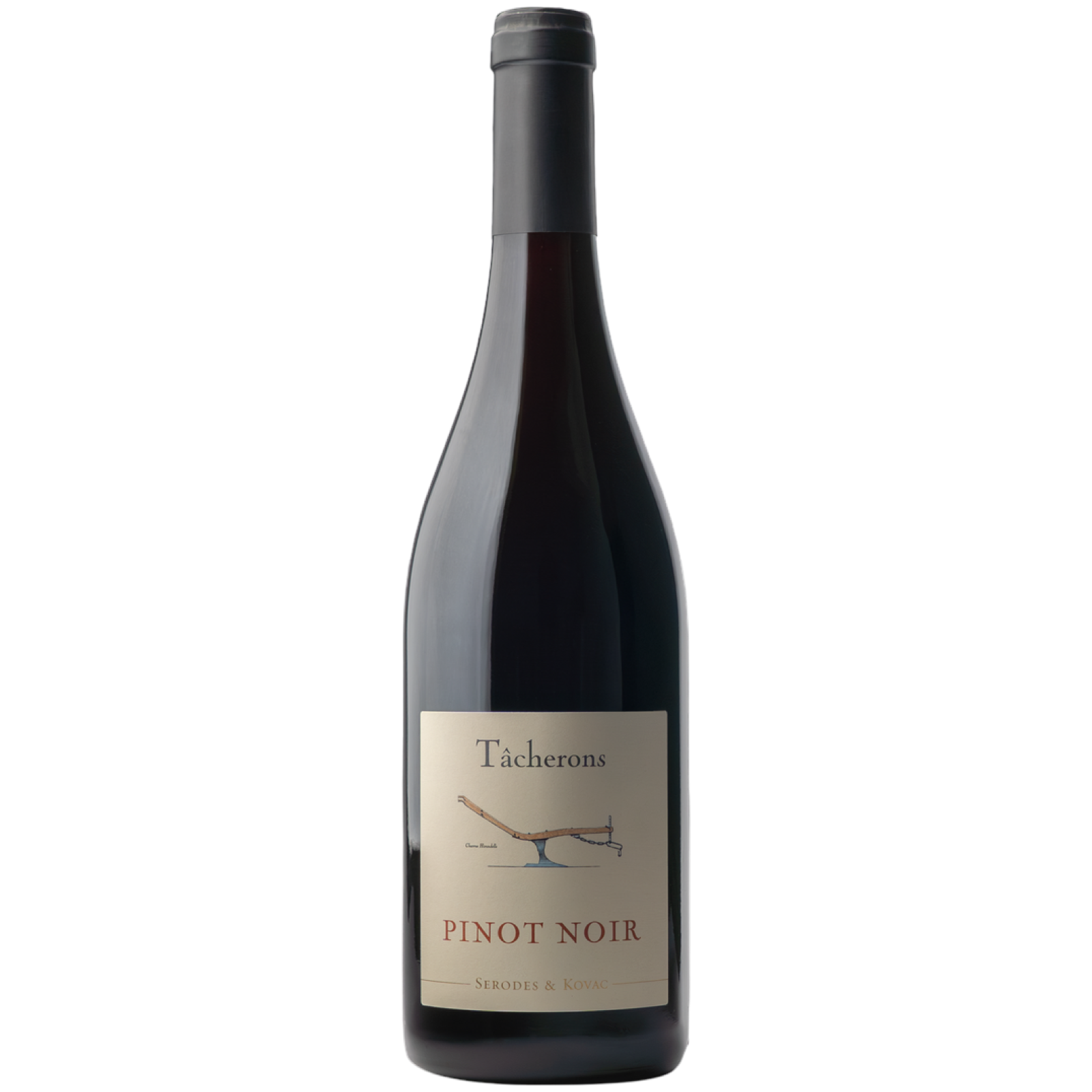 Tacherons Pinot Noir 2024
